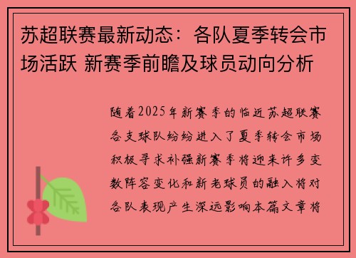 苏超联赛最新动态:各队夏季转会市场活跃 新赛季前瞻及球员动向分析