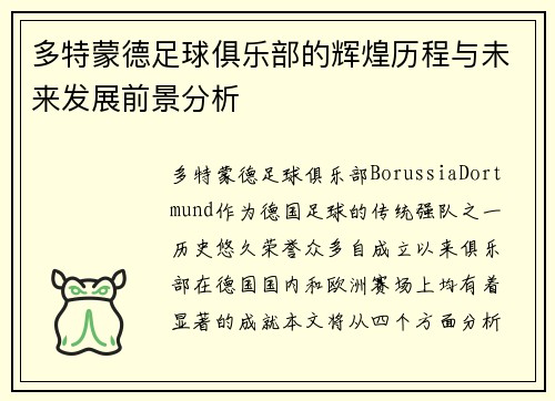 多特蒙德足球俱乐部的辉煌历程与未来发展前景分析