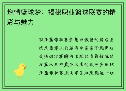 燃情篮球梦:揭秘职业篮球联赛的精彩与魅力