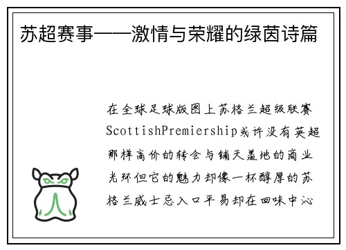 苏超赛事——激情与荣耀的绿茵诗篇