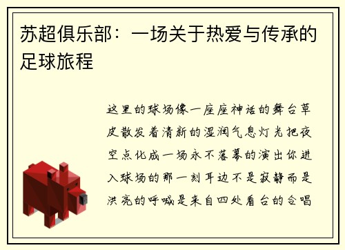 苏超俱乐部：一场关于热爱与传承的足球旅程