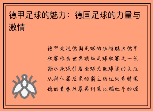 德甲足球的魅力：德国足球的力量与激情