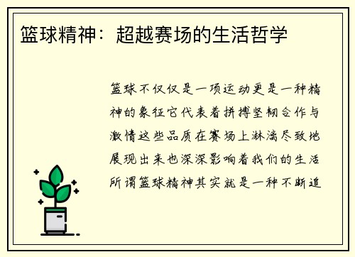 篮球精神：超越赛场的生活哲学